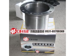 ,輪邊總成,濟(jì)南匯德卡汽車零部件有限公司