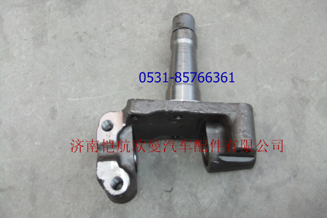 30N-01015,轉(zhuǎn)向節(jié)總成左國III,濟(jì)南愷航歐曼汽車配件有限公司