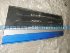 NZ1651110120,重汽豪運(yùn)汽車(chē)配件前面板,濟(jì)南權(quán)御進(jìn)出口有限公司
