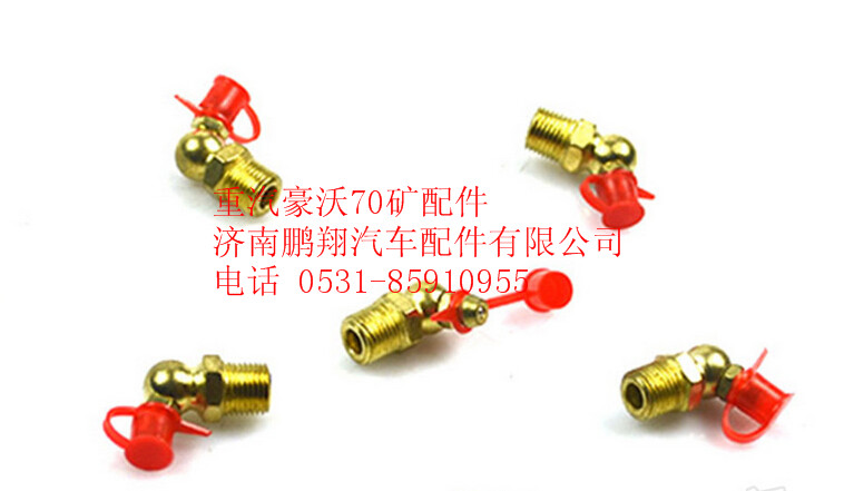 AZ9003963004,重汽豪沃70礦滑脂嘴總成,濟(jì)南鵬翔汽車配件有限公司