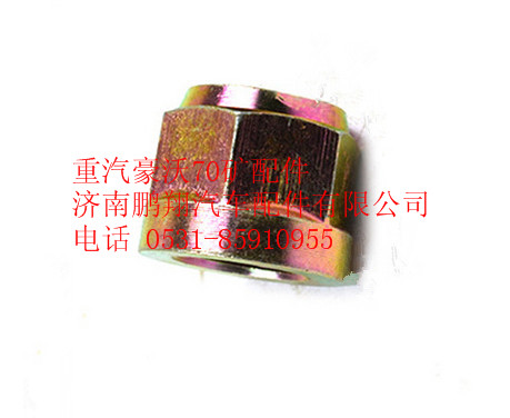 WG9725520750,重汽豪沃70礦六角帶肩自鎖螺母,濟(jì)南鵬翔汽車配件有限公司