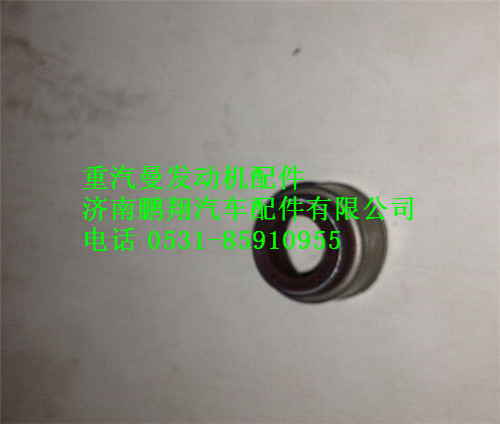 202V04902-0035,重汽曼MC11排氣門桿油封,濟(jì)南鵬翔汽車配件有限公司