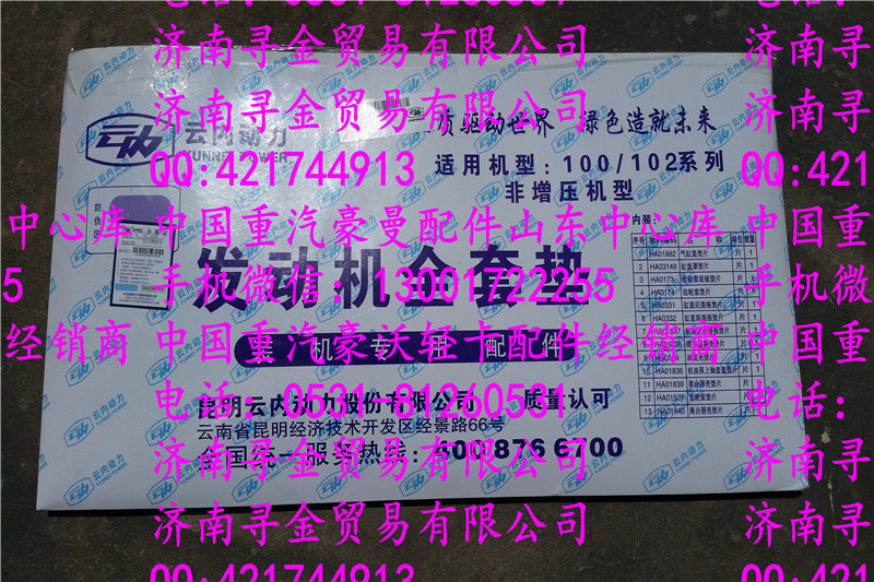 豪沃輕卡發(fā)動機(jī)墊/