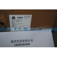 電機及連動機構(gòu)總成WG1661740022-1