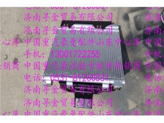 ,豪沃輕卡冷凝器總成,濟(jì)南尋金貿(mào)易有限公司