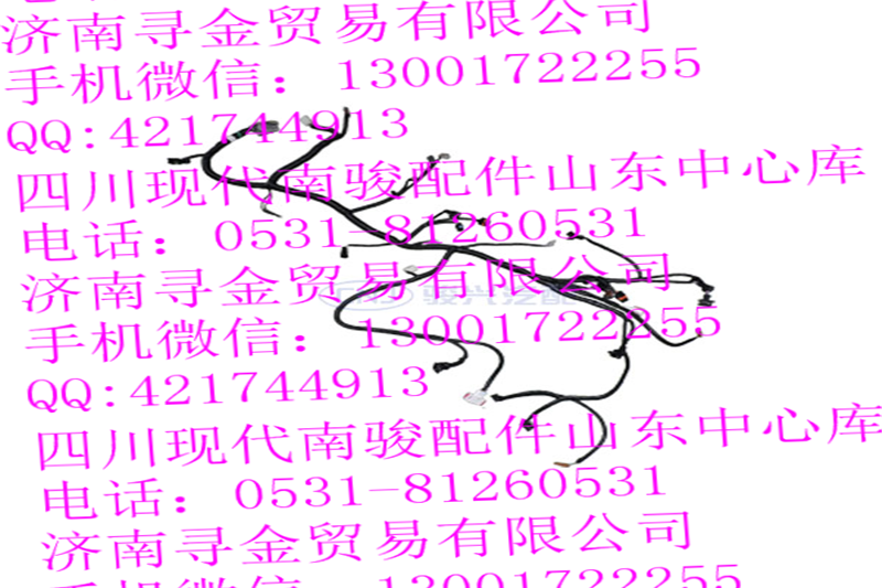 豪沃輕卡MV11A1 發(fā)動機線束總成/