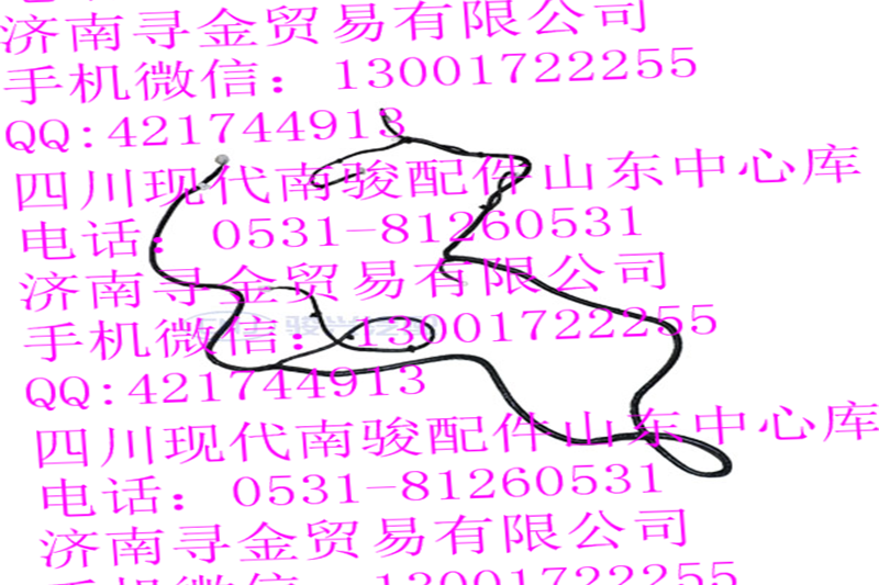 豪沃輕卡車架線束總成/