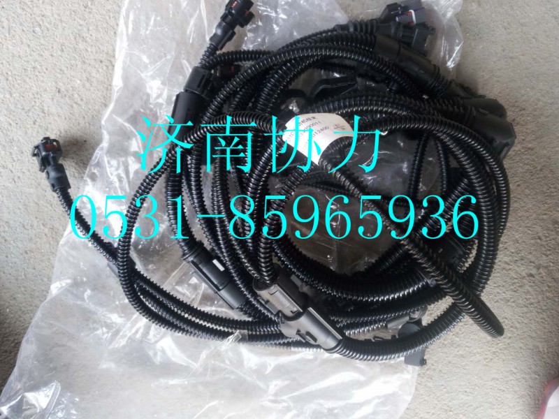 VG1034090011,發(fā)動機(jī)線束（HW3812014P）,濟(jì)南明鉅汽車配件有限公司（原濟(jì)南協(xié)力）