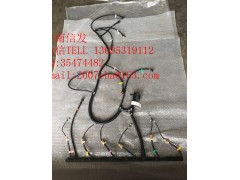 612640080043,發(fā)動機線束,濟南信發(fā)汽車配件有限公司