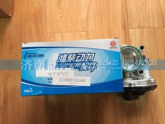 612600191590,電子節(jié)氣門,濟(jì)南鼎陽(yáng)汽車配件有限公司
