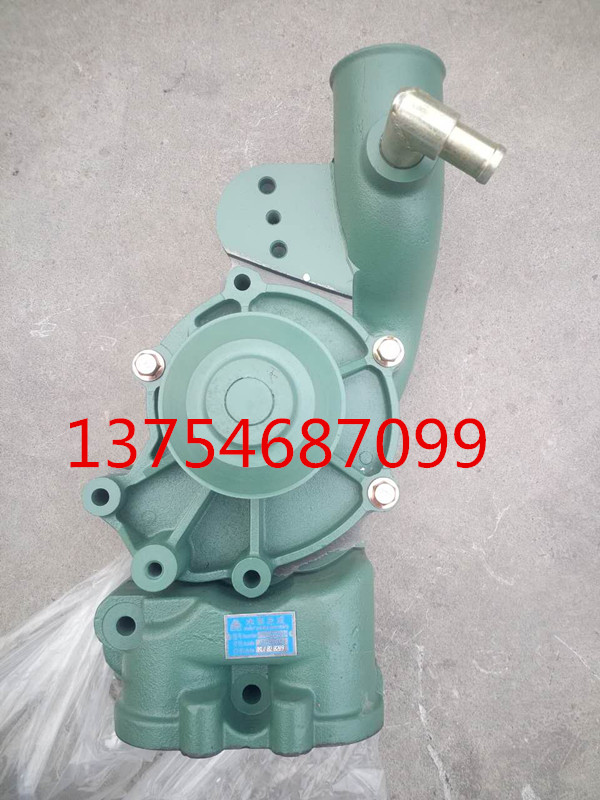 VG1246060094,水泵總成,山東鑫豪沃（原福達）重配工貿(mào)有限公司