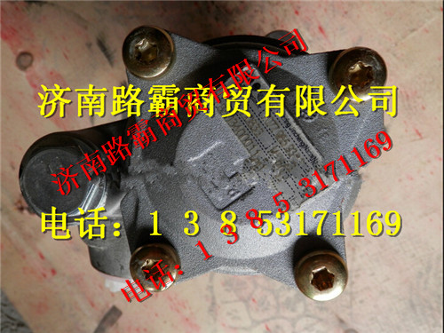 85034000114.jpg,重工轉(zhuǎn)向助力泵,濟(jì)南匯德卡汽車零部件有限公司