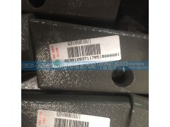 AZ9100680165,減震器下支架分裝總成,濟南佳藝汽配