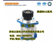 612600130509、QC20/15-WD12A,轉向齒輪泵/巨力泵/助力泵,濟南正宸動力汽車零部件有限公司