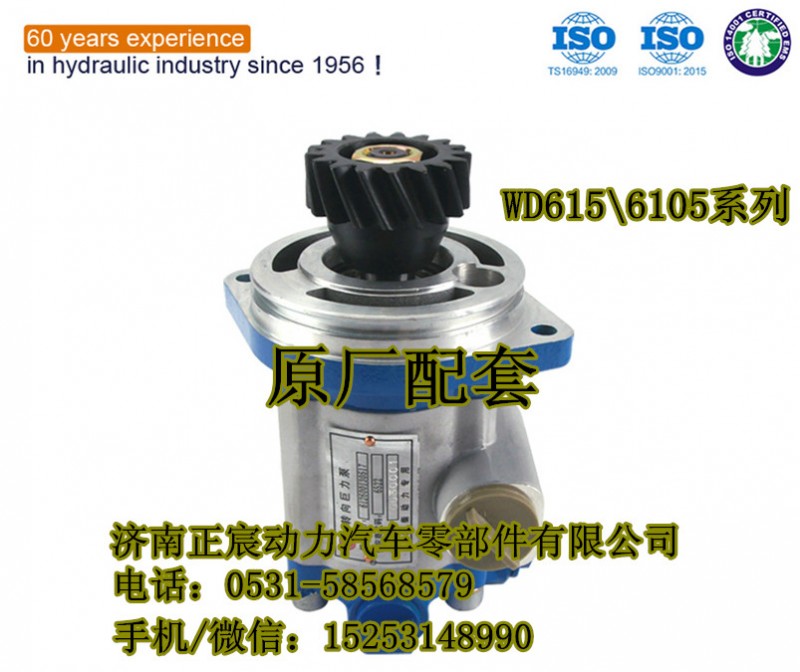 1325334008004,助力泵/葉片泵/齒輪泵,濟(jì)南正宸動(dòng)力汽車零部件有限公司
