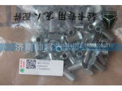 102013010-08,鉚釘,濟(jì)南帥將商貿(mào)有限公司