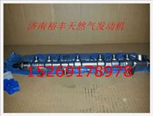 610800080061,電噴發(fā)動(dòng)機(jī)共軌管總成,濟(jì)南裕豐汽車(chē)配件銷(xiāo)售中心
