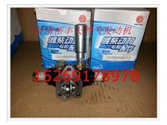 612600081317,EGR國三發(fā)動(dòng)機(jī)手油泵輸油泵,濟(jì)南裕豐汽車配件銷售中心