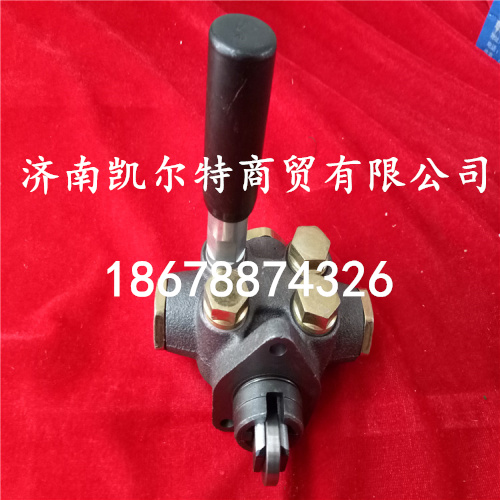 供應(yīng)北方奔馳供油泵VG1500080100/VG1500080100
