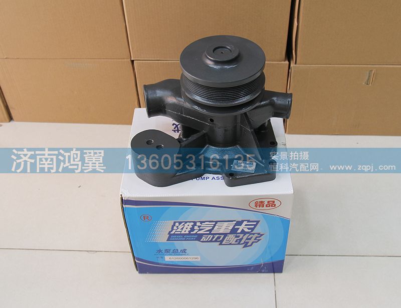 612600061296,水泵總成,濟南鴻翼水泵廠