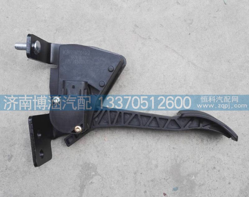 電子油門踏板WG9725570010/WG9725570010