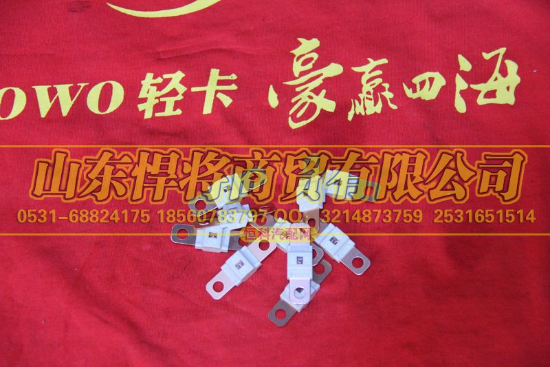 LG9704770082,80A保險(xiǎn)片,山東悍將商貿(mào)有限公司