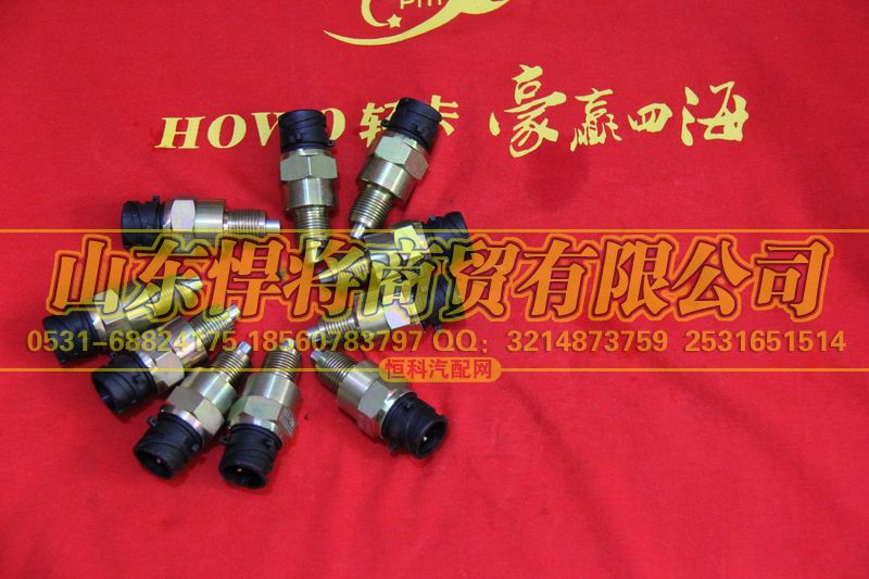WK-102,HOWo豪沃輕卡空檔開(kāi)關(guān)(插接口),山東悍將商貿(mào)有限公司