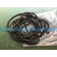 中國(guó)重汽豪沃ABS底盤線束WG9718770071