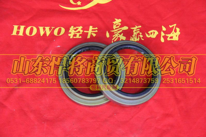 310403002A,HOWO豪沃輕卡后輪轂內油封總成,山東悍將商貿有限公司