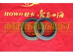 310403002A,HOWO豪沃輕卡后輪轂內油封總成,山東悍將商貿有限公司