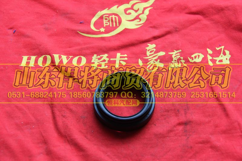 2402Q01-060-F,HAOWO豪沃輕卡油封總成,山東悍將商貿有限公司