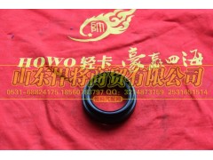 2402Q01-060-F,HAOWO豪沃輕卡油封總成,山東悍將商貿有限公司