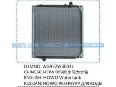 WG9725530011,豪沃09款小馬力水箱,山東百基安國(guó)際貿(mào)易有限公司
