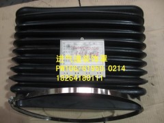 pw10g/61950.0214,進(jìn)氣道裝飾罩,濟(jì)南百思特駕駛室車身焊接廠
