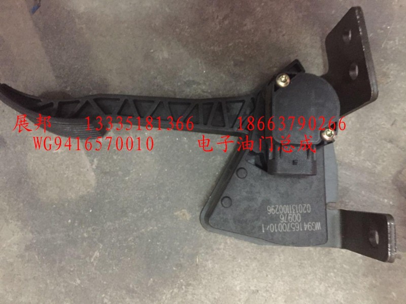 電子油門總成/WG9416570010