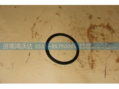 JS85T-1707022,鴻沃達,濟南鴻沃達汽配有限公司