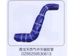 DZ95259530613,德龍?zhí)烊粴庵欣淦髂z管,濟南泉信汽配