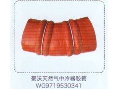 WG9719530341,豪沃天然氣中冷器膠管,濟南泉信汽配