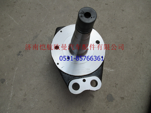 HFF3501230K,轉(zhuǎn)向節(jié)總成,濟南愷航歐曼汽車配件有限公司
