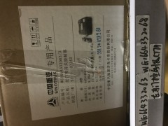 WG1664332063,左車門控制器（帶遙控）,濟南馳南原廠電器