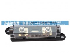 WG9725580016,200A保險(xiǎn)裝置,濟(jì)南馳南原廠電器