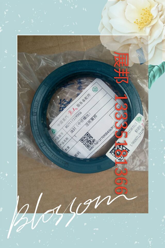 WG7117329006,油封（中橋輸出）,濟南冠澤卡車配件營銷中心