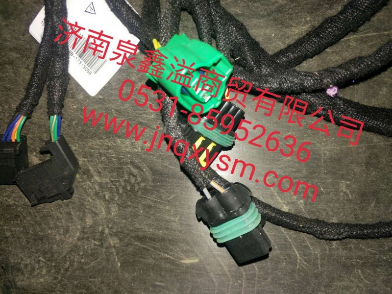 100430600008,左前門線束總成,濟南泉鑫溢商貿有限公司