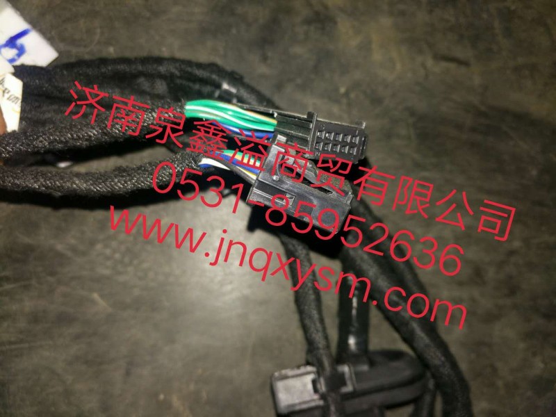 100430600008,左前門線束總成,濟南泉鑫溢商貿有限公司