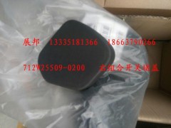712W25509-0200,右組合開關(guān)堵蓋,濟(jì)南冠澤卡車配件營銷中心