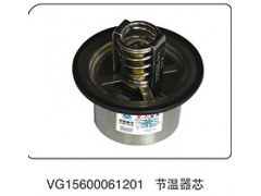 VG15600061201,節(jié)溫器芯,山東百基安國(guó)際貿(mào)易有限公司