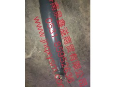 100290500016,前減震器總成,濟(jì)南泉鑫溢商貿(mào)有限公司
