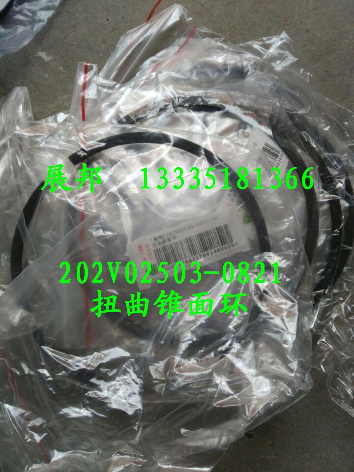 202V02503-0821,扭曲錐面環(huán),濟(jì)南冠澤卡車配件營(yíng)銷中心