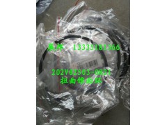 202V02503-0821,扭曲錐面環(huán),濟(jì)南冠澤卡車配件營(yíng)銷中心
