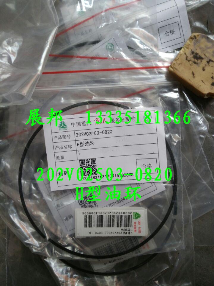 202V02503-0820,H型油環(huán),濟(jì)南冠澤卡車配件營銷中心